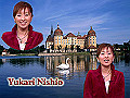 maido175-s.jpg