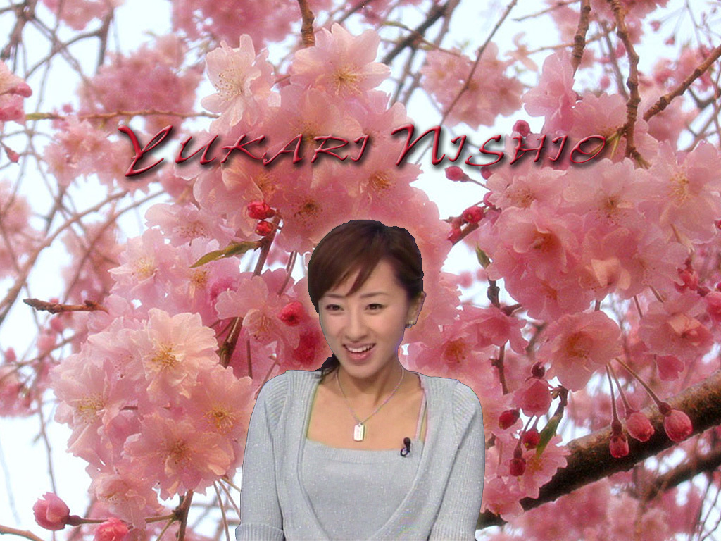 maido206.jpg
