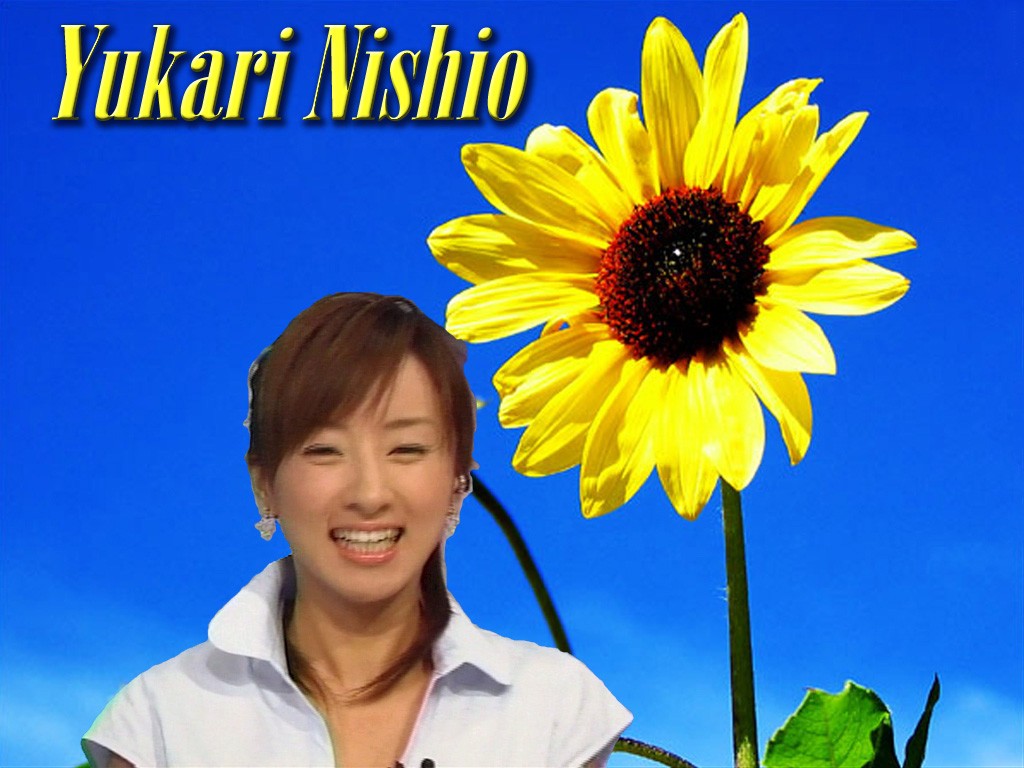 maido66.jpg